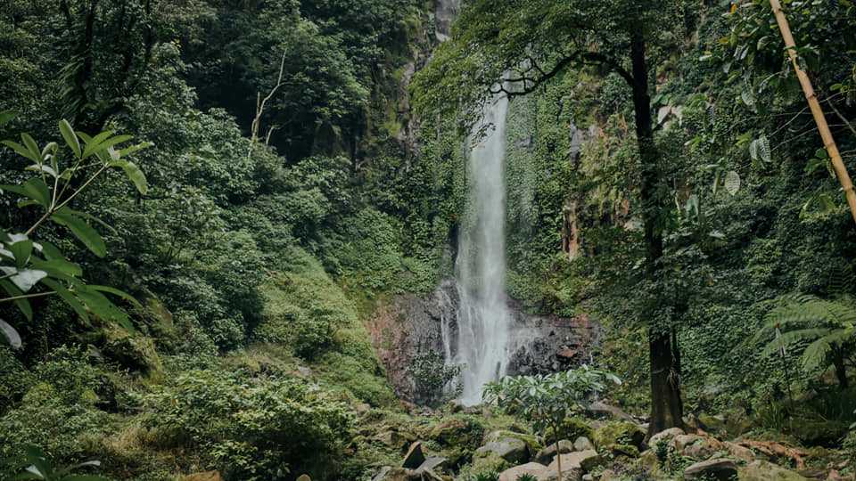 Curuglawe Secepit Kendal