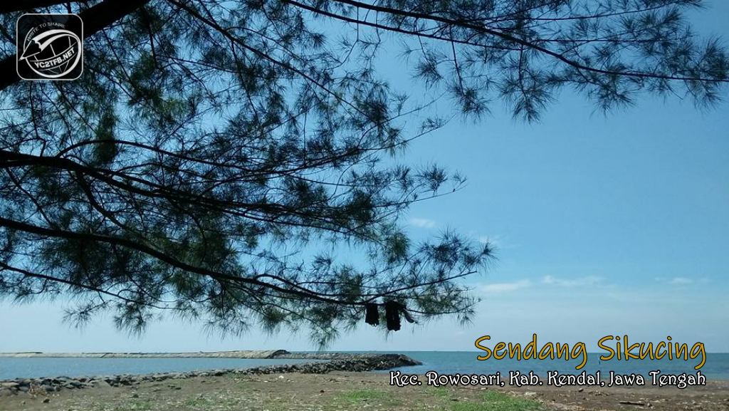 iBOTA Pantai Sendang Sekucing Rowosari Kendal