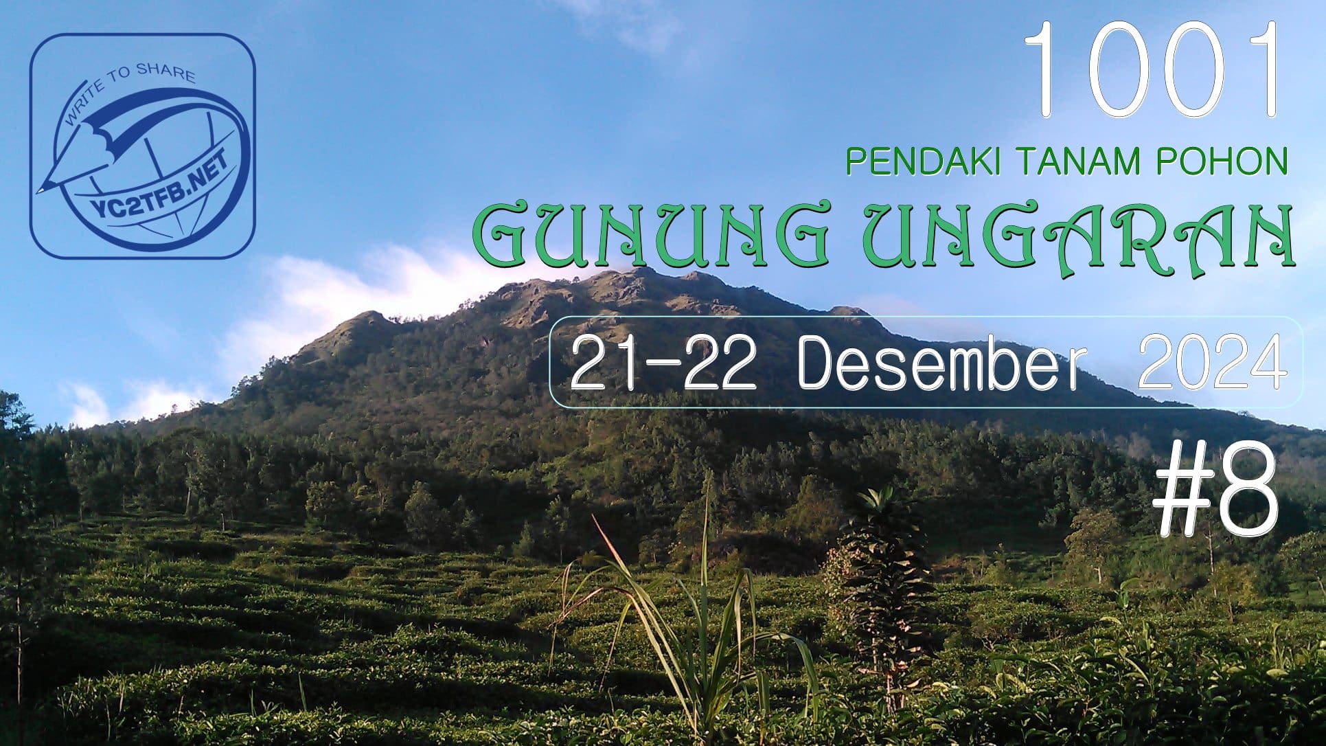 1001 Pendaki Kembali Hijaukan Gunung Ungaran, Lestarikan Alam untuk Masa Depan