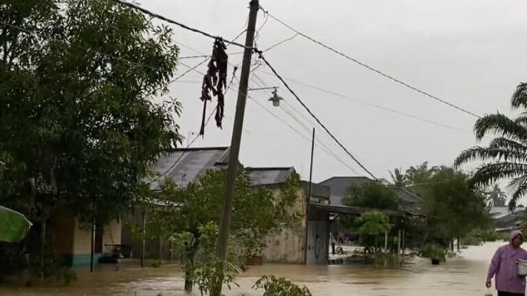 FB_IMG_1766294340490